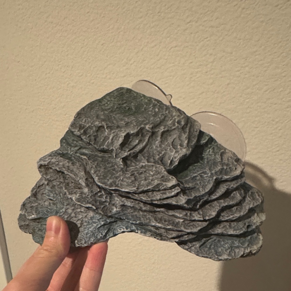 Gray Rock Wall Turtle/Reptile Tank